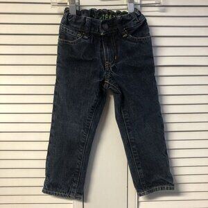 Gap Size 3 Flannel Lined Dark Jeans